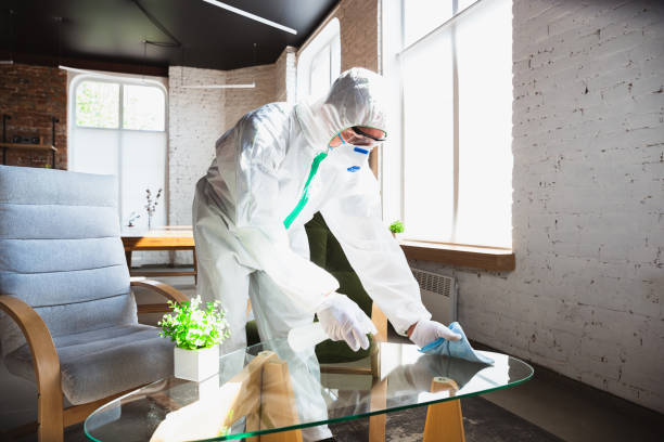 Best Industrial Mold Remediation  in USA